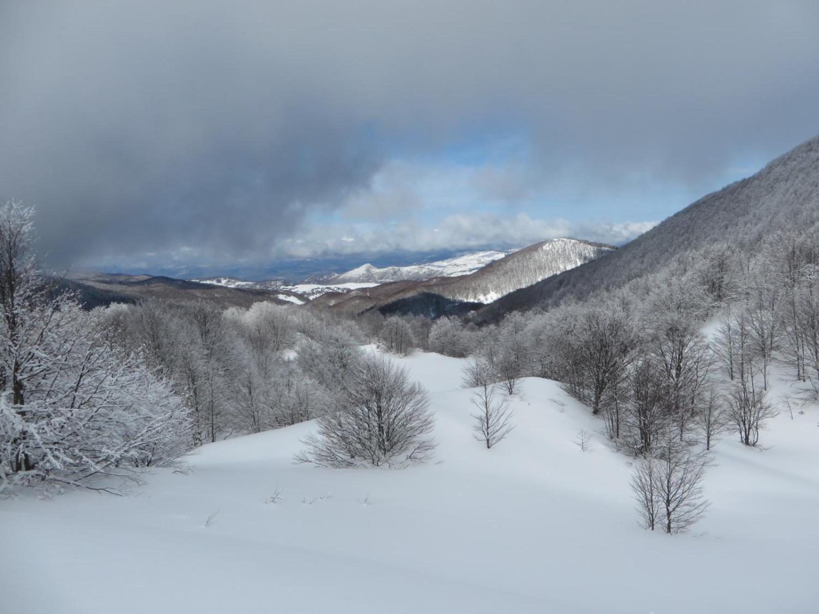 B&B Vivilmatese Roccamandolfi Экстерьер фото