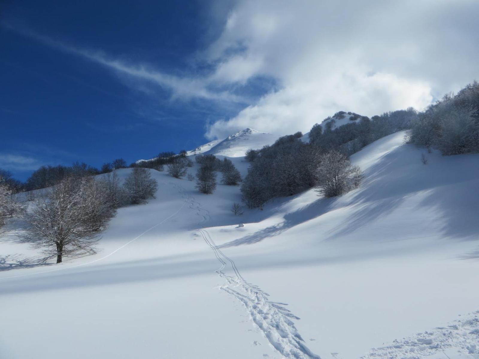 B&B Vivilmatese Roccamandolfi Экстерьер фото