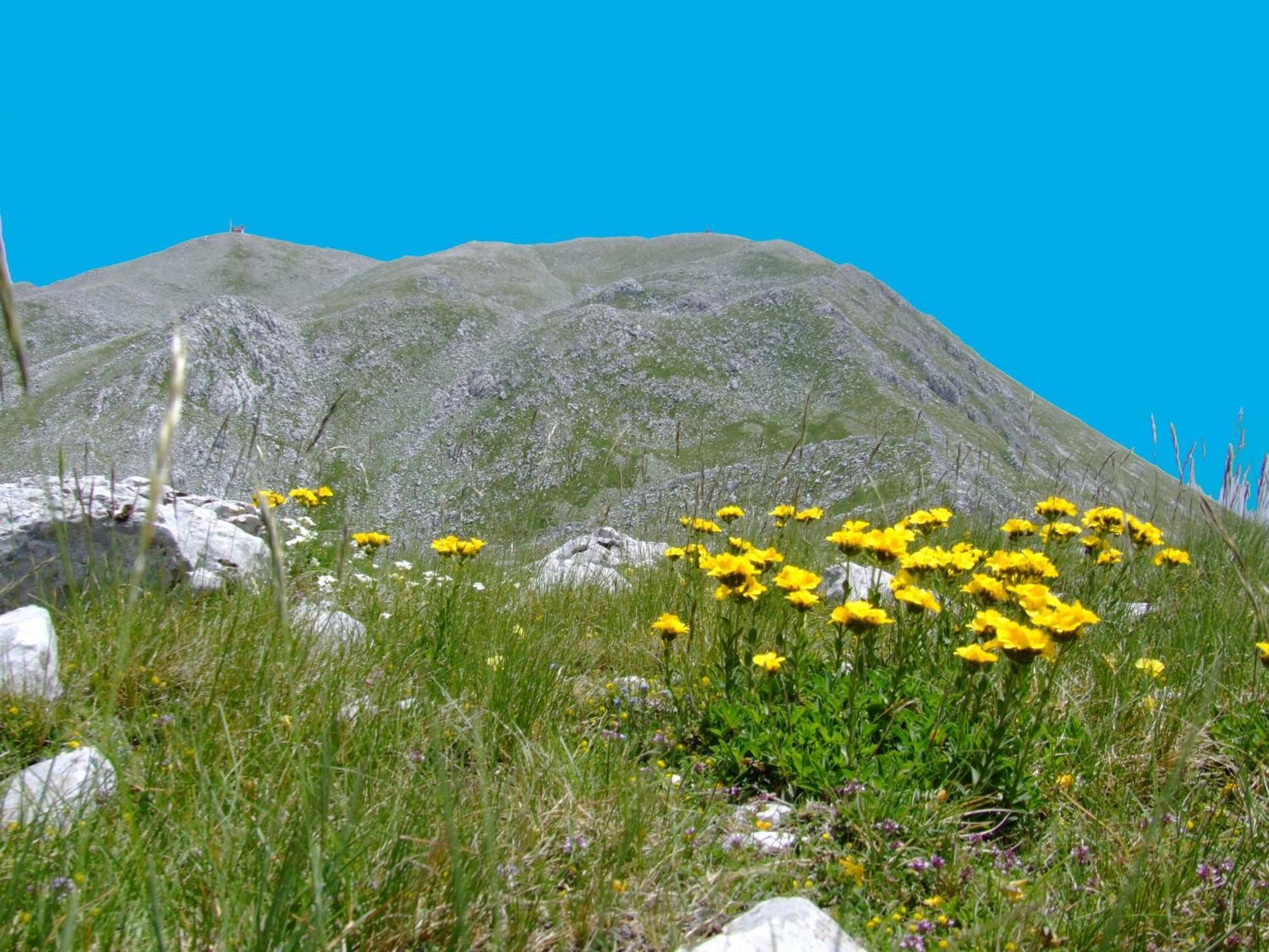 B&B Vivilmatese Roccamandolfi Экстерьер фото
