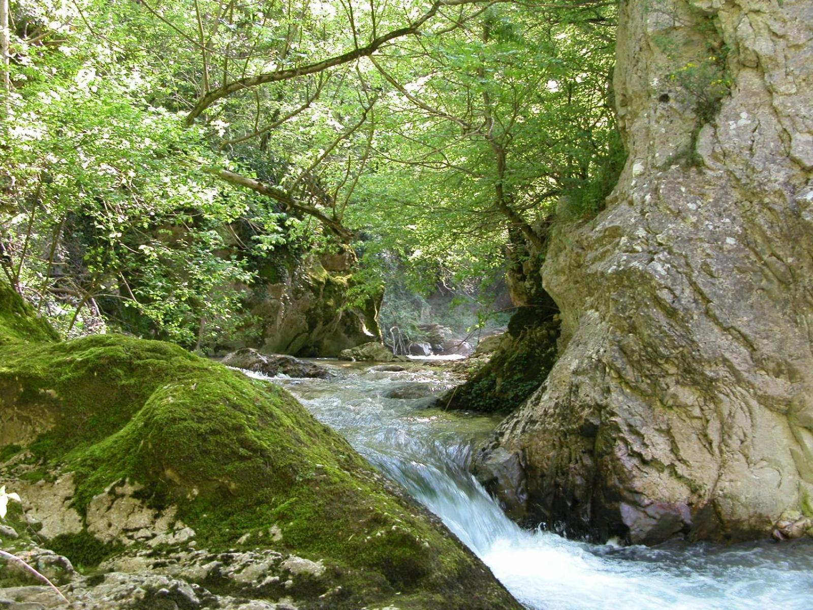 B&B Vivilmatese Roccamandolfi Экстерьер фото